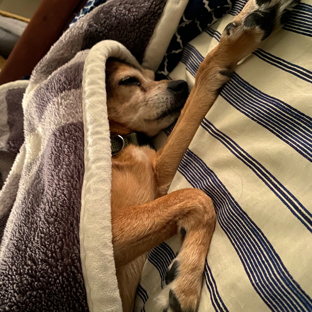 Meet your Posher, Ashleigh